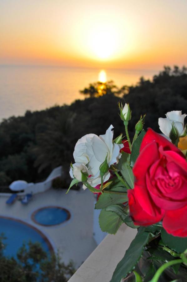 Apartment Beautiful Maria With Pool - Agios Gordios